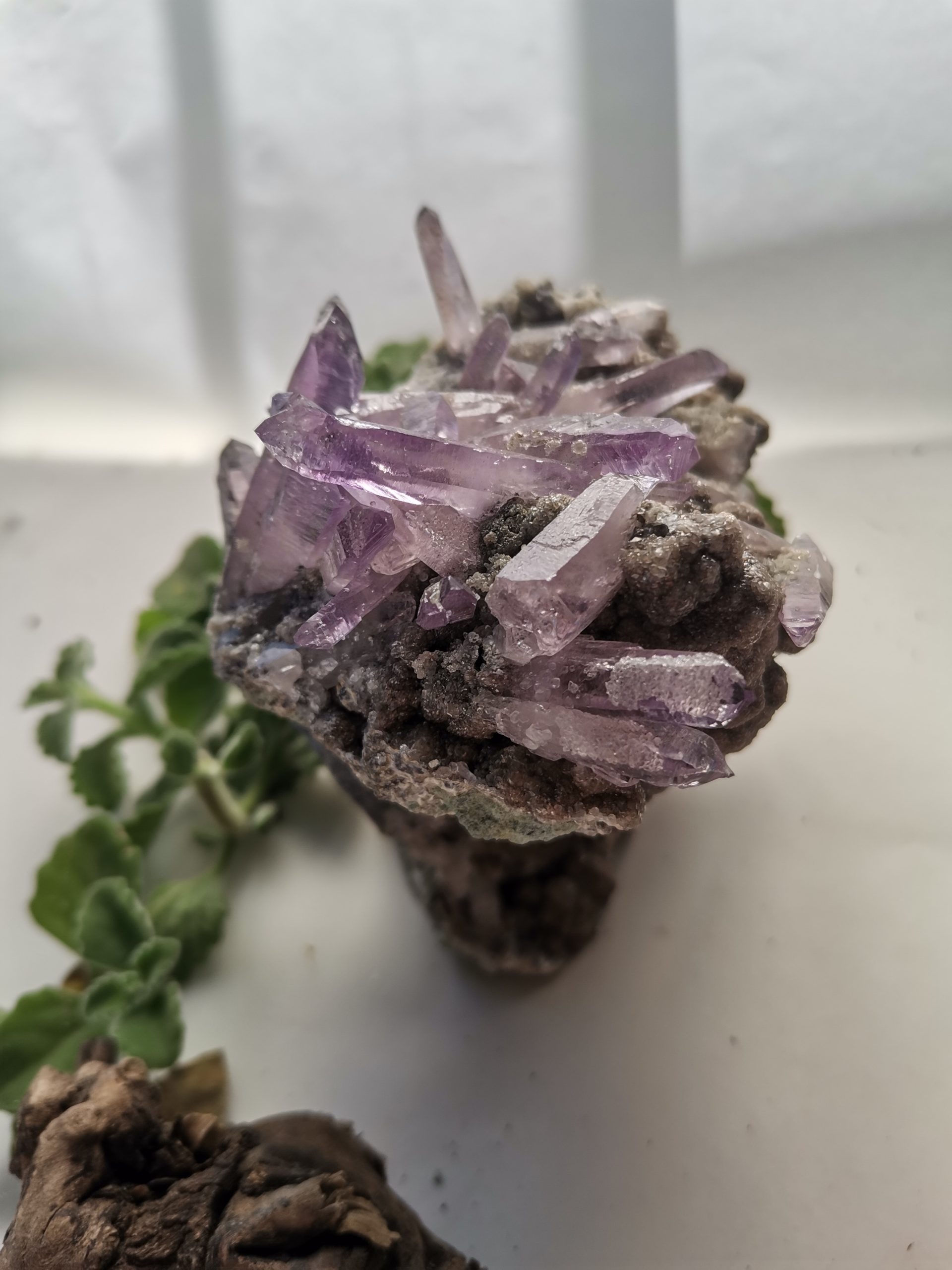 Veracruz amethyst